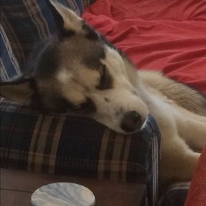 Meet your Posher, Zach